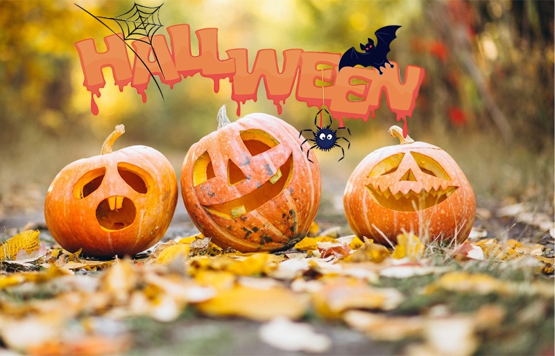 Halloween a Carmignano fra pozioni magiche, vampiretti, visite spettrali al buio e letture video animate