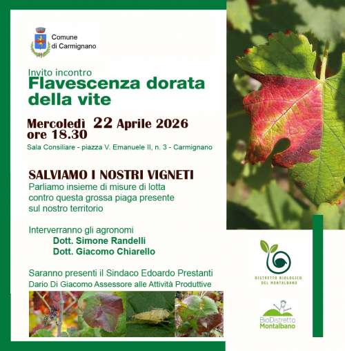 Salviamo i nostri vigneti - Incontro per addetti settore Agricoltura