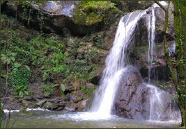 cascata rio carpineto